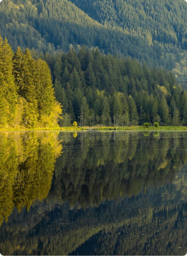 micah-mckerlich-5YP08E5ZrFs-unsplash